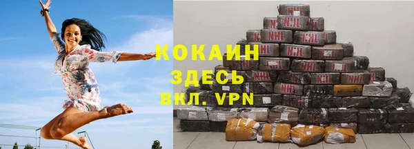 твердый Осташков