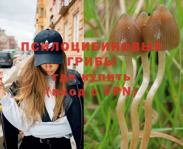 твердый Осташков