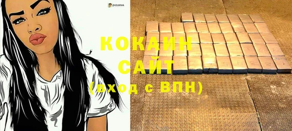 твердый Осташков