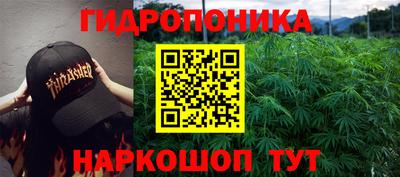 хмурый Гусев