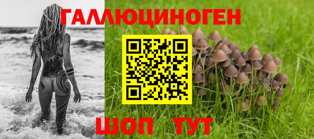 Галлюциногенные грибы Psilocybe  где можно купить   Галлюциногенные грибы мицелий  Красноуфимск  Вход с VPN 