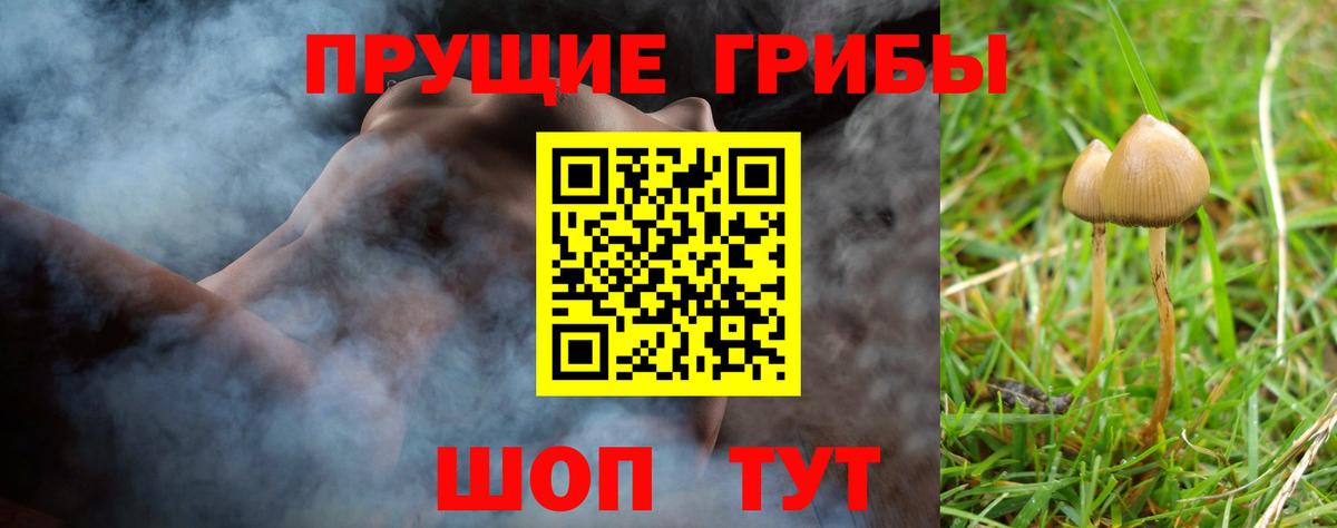 Галлюциногенные грибы мухоморы Красноуфимск